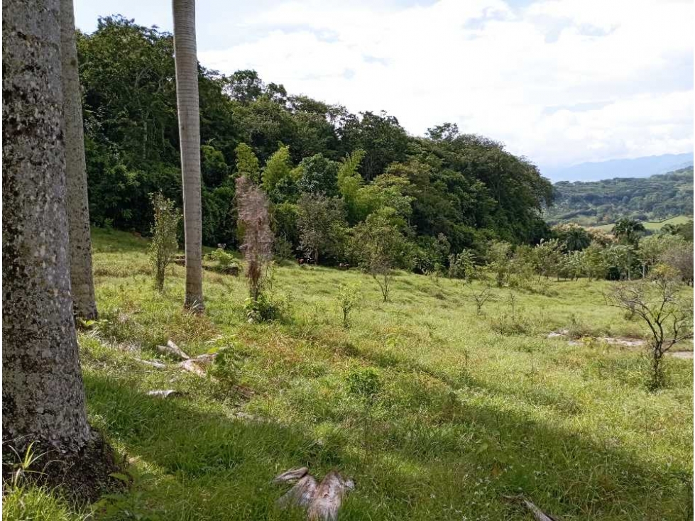 VENTA LOTE LA PINTADA SUROESTE ANTIOQUEÑO — foto 2
