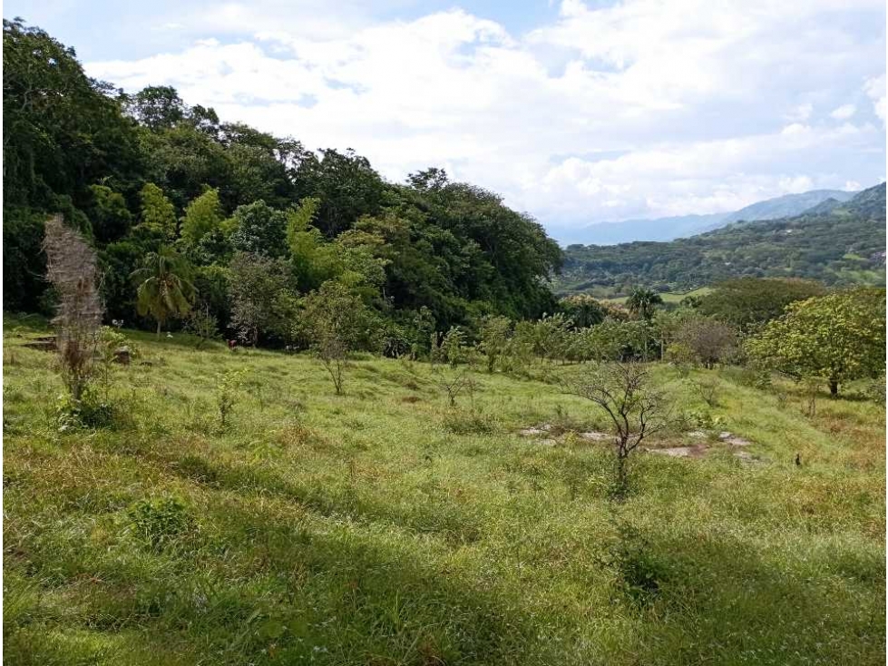 VENTA LOTE LA PINTADA SUROESTE ANTIOQUEÑO — foto 3