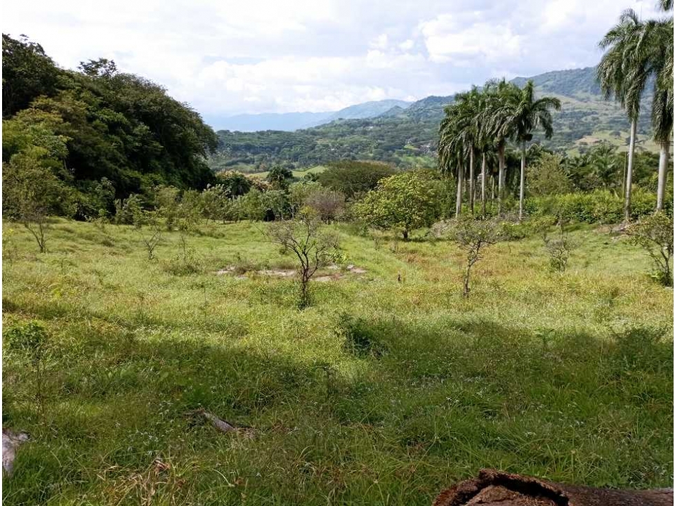 VENTA LOTE LA PINTADA SUROESTE ANTIOQUEÑO — foto 4