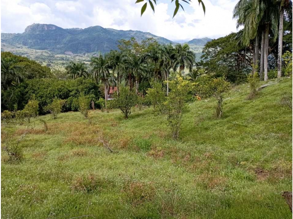 VENTA LOTE LA PINTADA SUROESTE ANTIOQUEÑO — foto 5