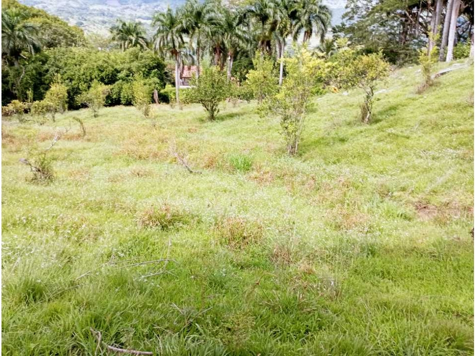 VENTA LOTE LA PINTADA SUROESTE ANTIOQUEÑO — foto 6