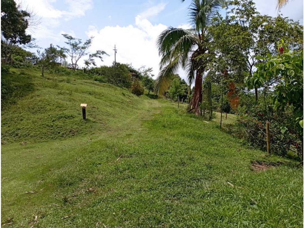 VENTA FINCA LA PINTADA SUROESTE ANTIOQUEÑO — foto 3
