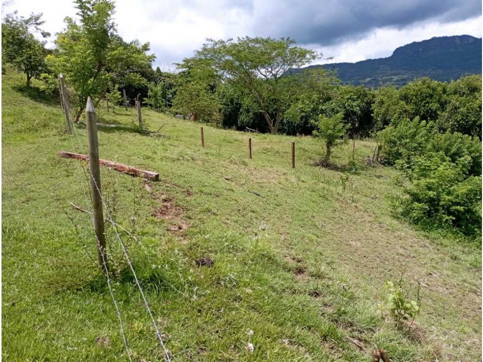 VENTA FINCA LA PINTADA SUROESTE ANTIOQUEÑO — foto 4