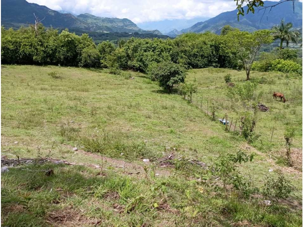 VENTA FINCA LA PINTADA SUROESTE ANTIOQUEÑO — foto 5