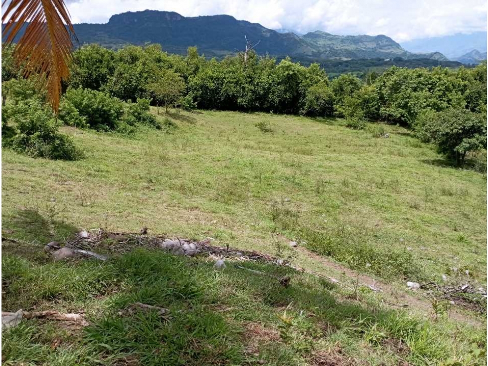 VENTA FINCA LA PINTADA SUROESTE ANTIOQUEÑO — foto 6