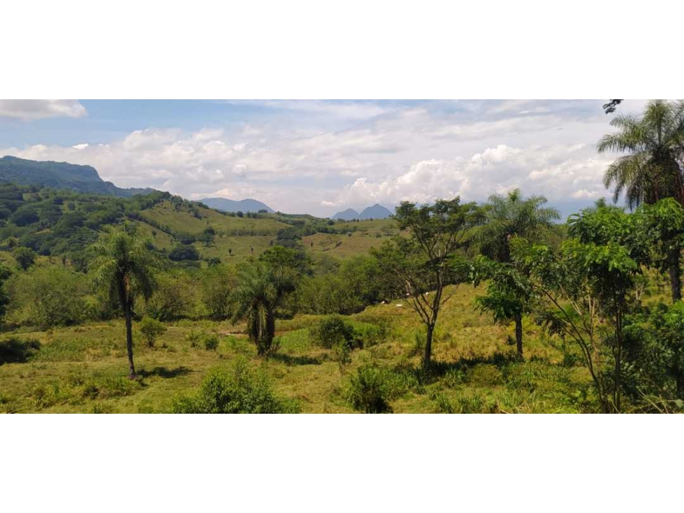 VENTA LOTE LA PINTADA, SUROESTE ANTIOQUEÑO