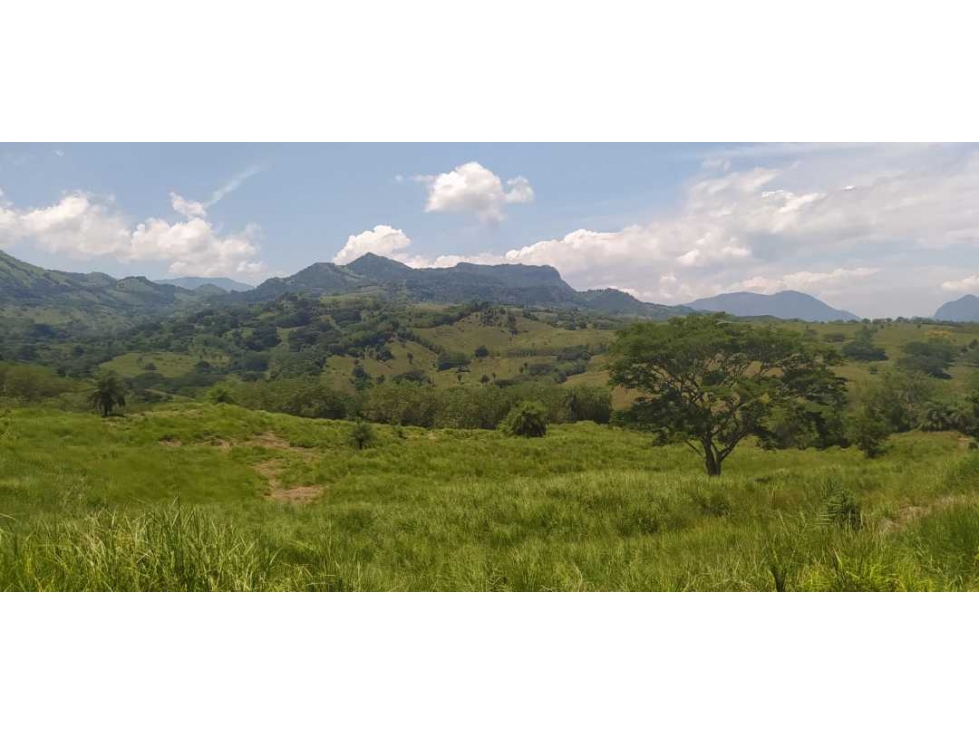 VENTA LOTE LA PINTADA, SUROESTE ANTIOQUEÑO — foto 2