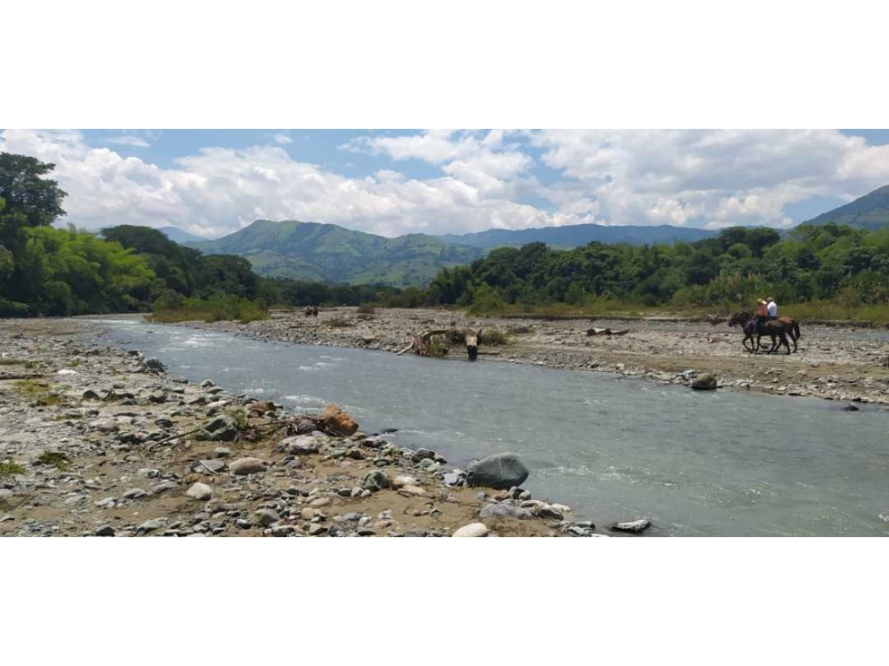 VENTA LOTE LA PINTADA, SUROESTE ANTIOQUEÑO — foto 3