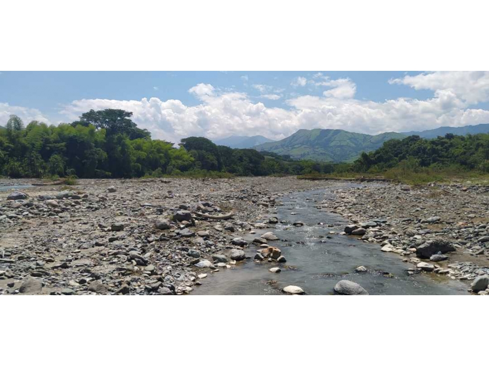 VENTA LOTE LA PINTADA, SUROESTE ANTIOQUEÑO — foto 4