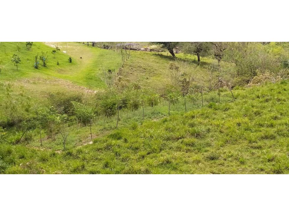 VENTA LOTE, SIRIA - SUROESTE ANTIOQUEÑO - 5