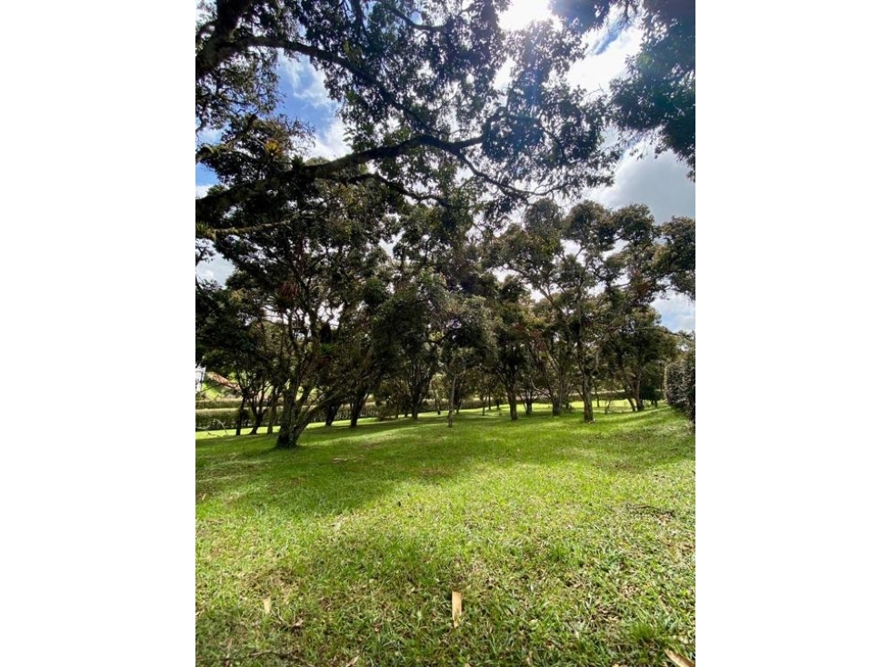 Venta lote llanogrande