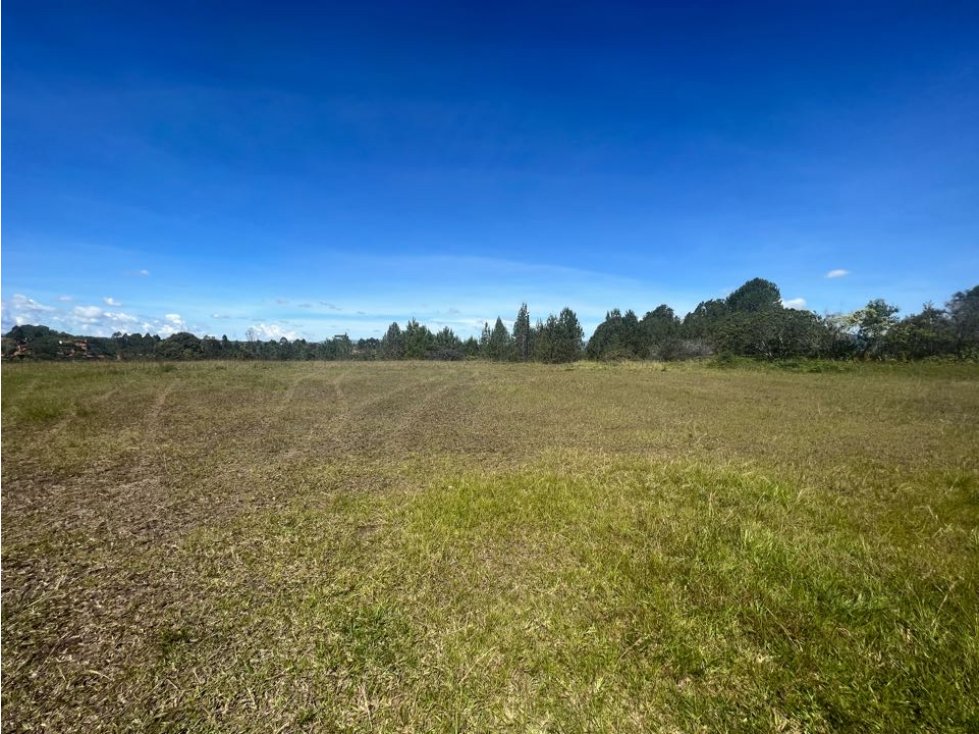 Venta lote llanogrande rionegro
