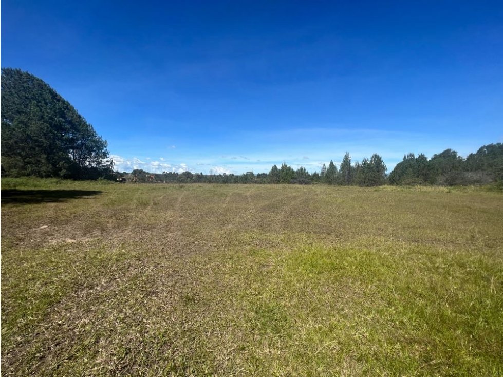Venta lote llanogrande rionegro — foto 4