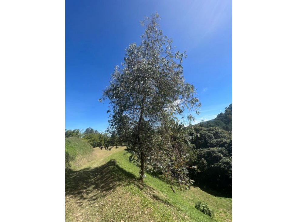 Venta lote llanogrande Rionegro — foto 5