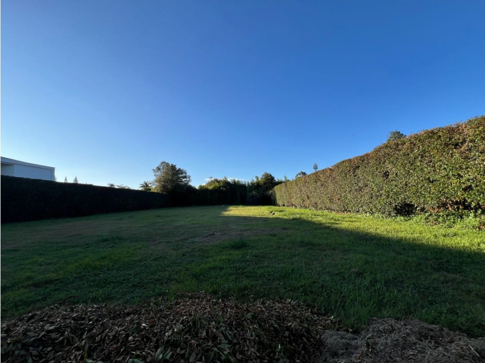 Venta Lote Llanogrande LA AMALITA 1660,7 Mts2