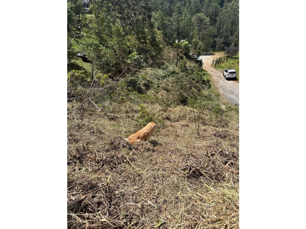 Venta Lote Loma Del Escobero Envigado Antioquia — foto 5
