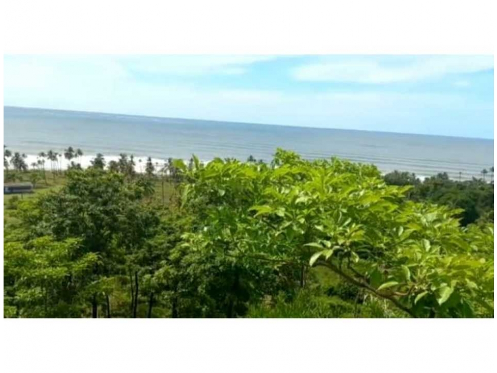 Venta Lote Único en Golfo de Urabá con Playa en Necocli - 2