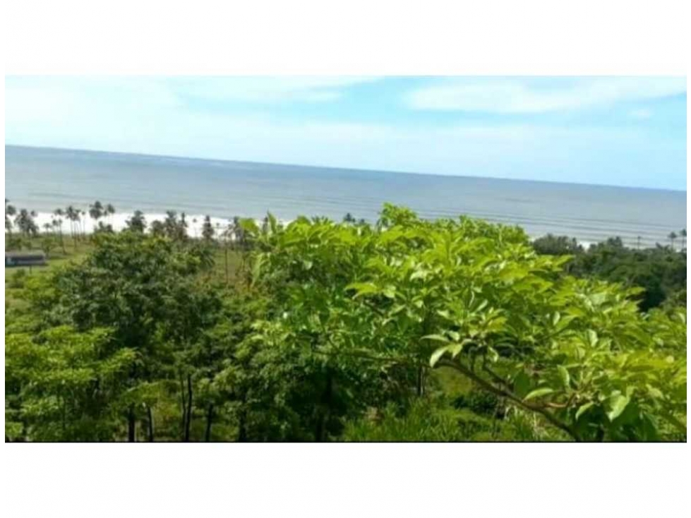 Venta Lote Único en Golfo de Urabá con Playa en Necocli - 3