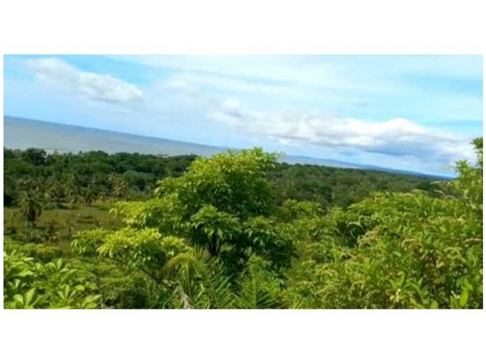 Venta Lote Único en Golfo de Urabá con Playa en Necocli - 4