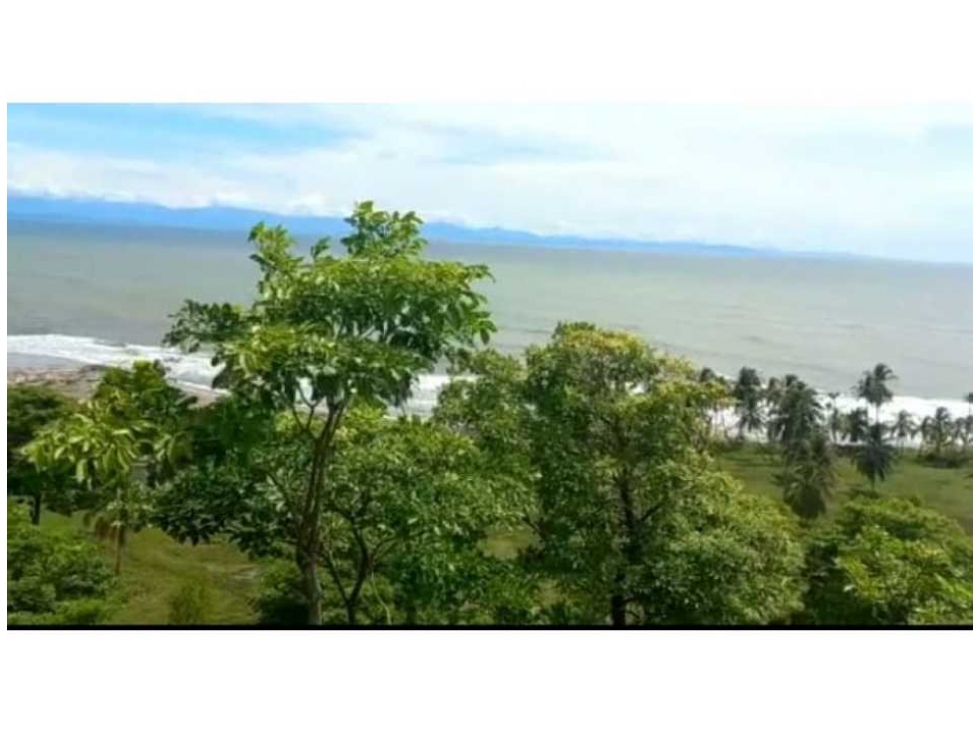 Venta Lote Único en Golfo de Urabá con Playa en Necocli - 5