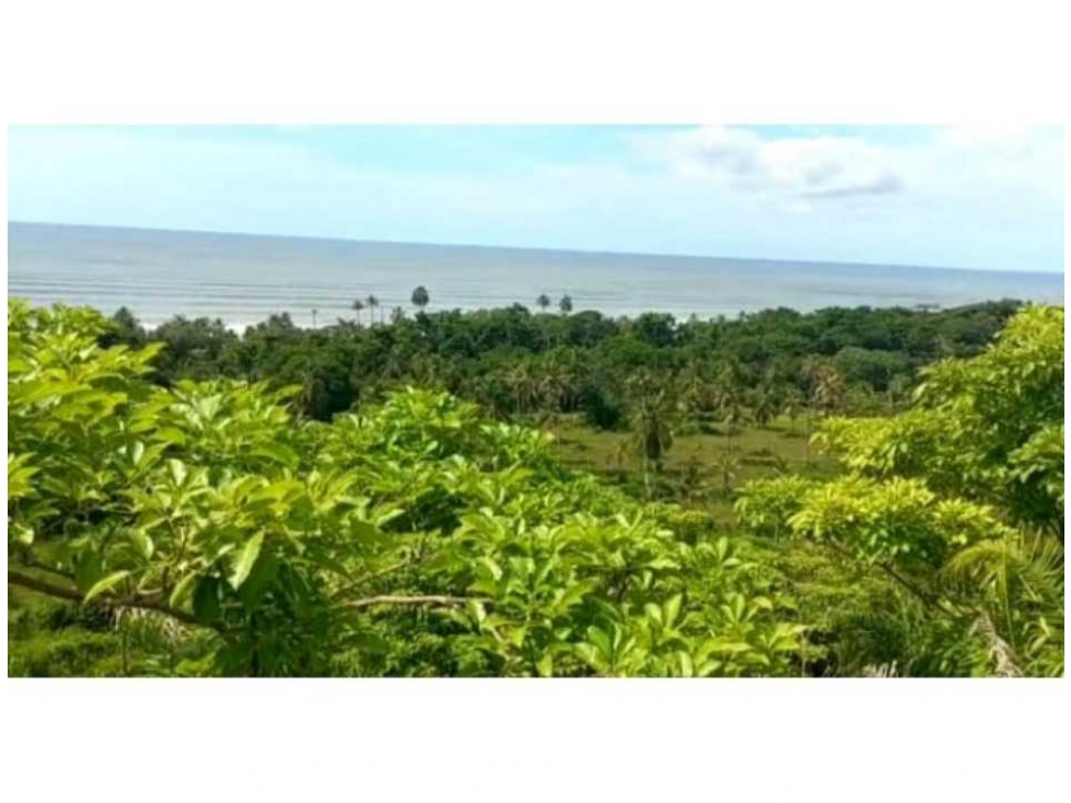 Venta Lote Único en Golfo de Urabá con Playa en Necocli - 6