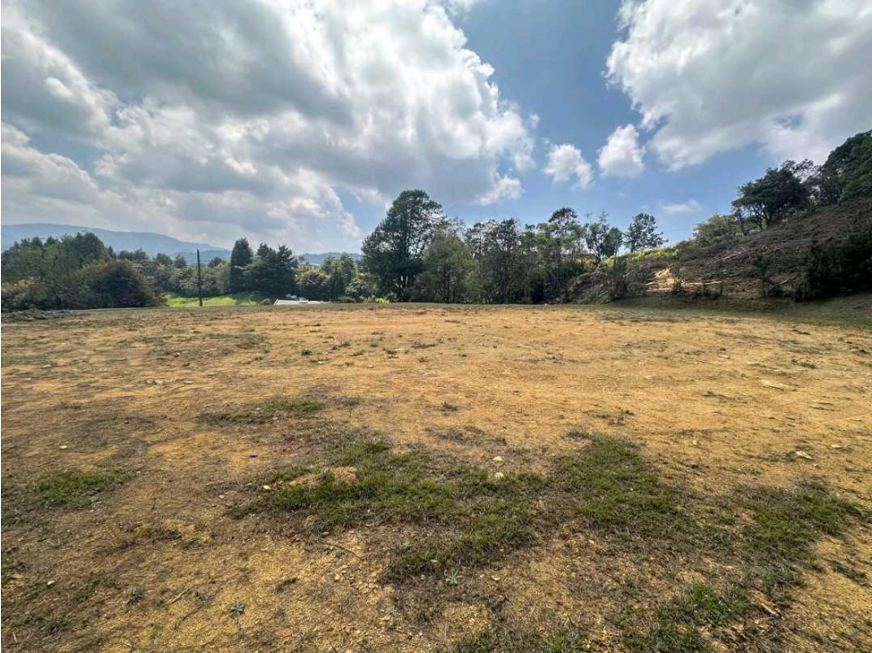 Venta lote Palmas