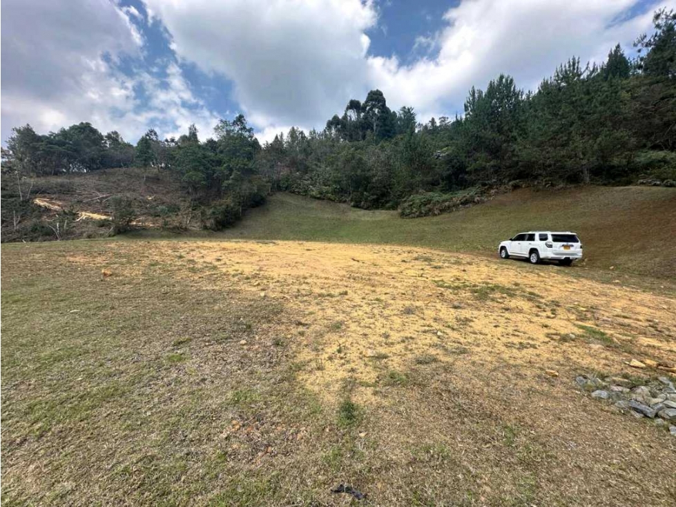 Venta lote Palmas