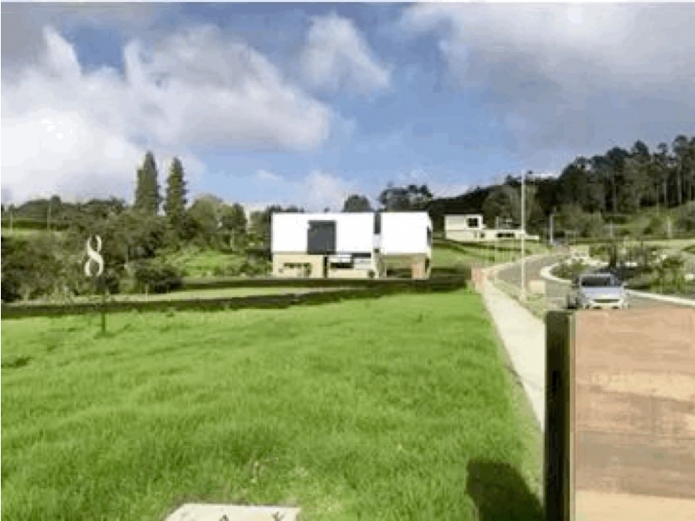 Venta lote palmas la acuarela