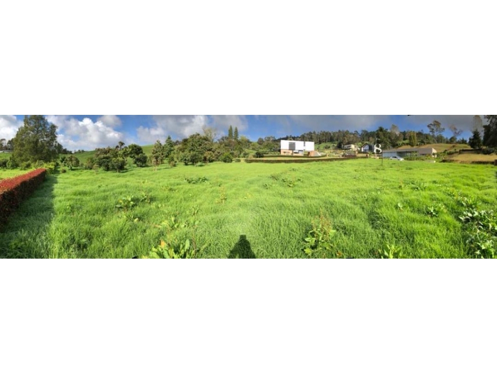 Venta lote palmas la acuarela — foto 3