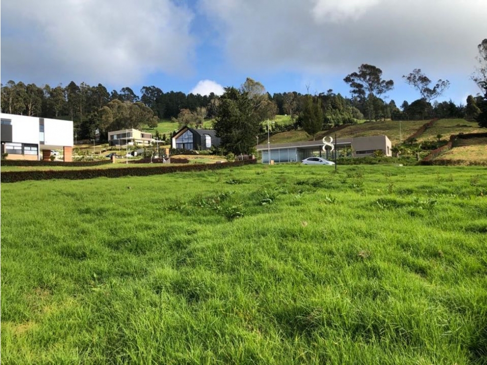 Venta lote palmas la acuarela — foto 4
