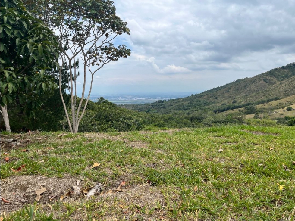 VENTA LOTE PANCE