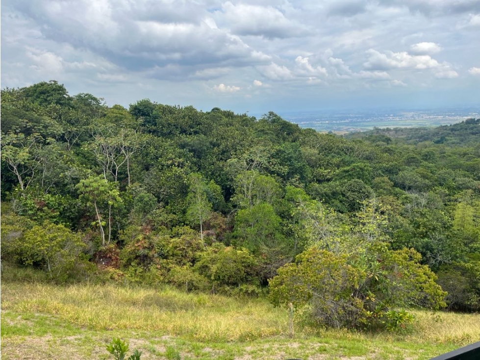 VENTA LOTE PANCE — foto 3