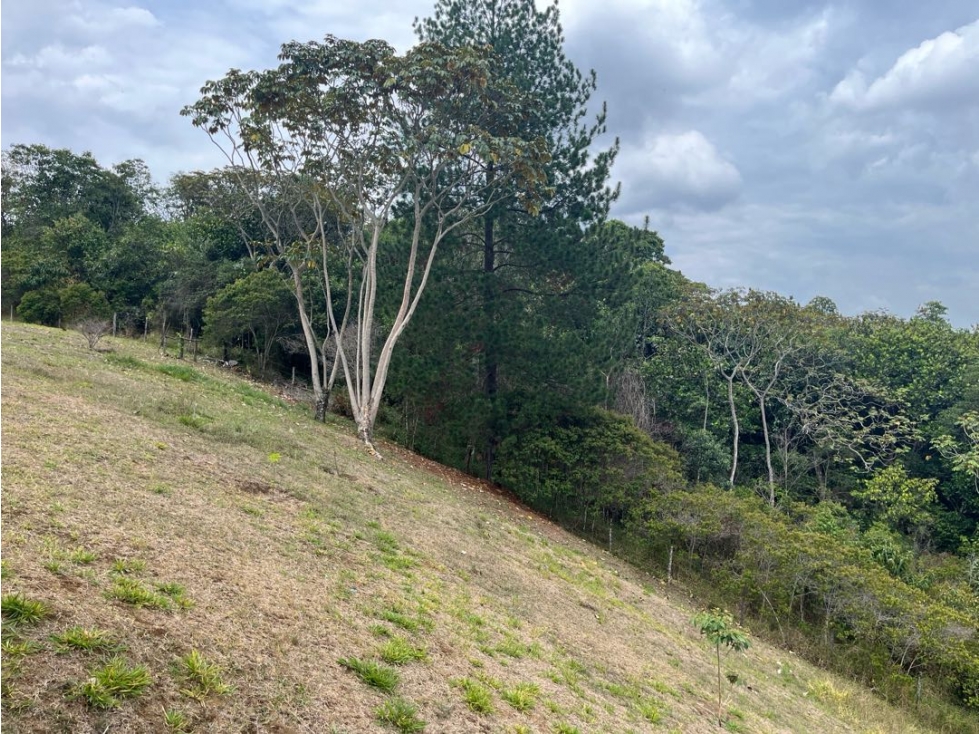 VENTA LOTE PANCE — foto 4
