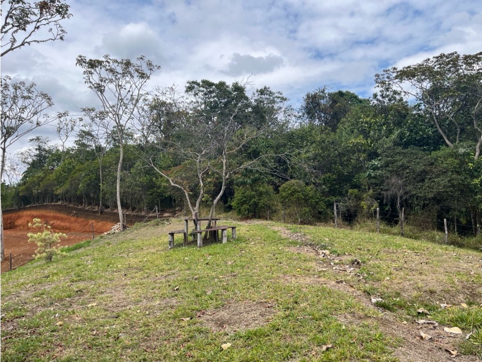 VENTA LOTE PANCE — foto 6