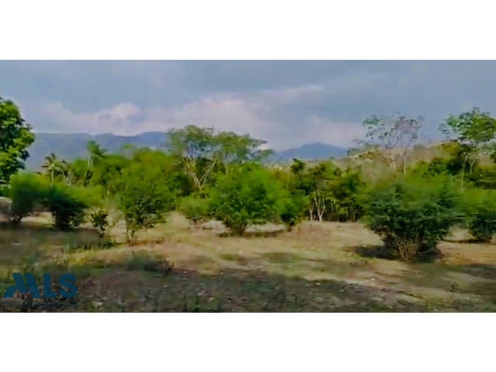 VENTA LOTE PARA DESARROLAR PROYECTO INMOBILIARIO -...(MLS#250447) - 3