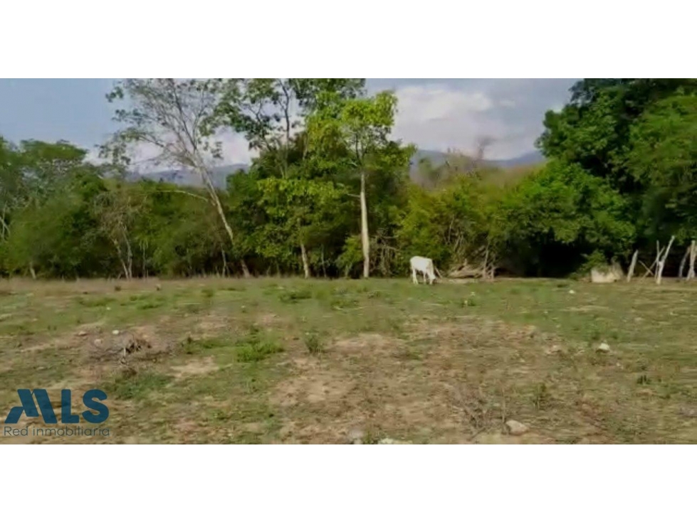 VENTA LOTE PARA DESARROLAR PROYECTO INMOBILIARIO -...(MLS#250447) - 5