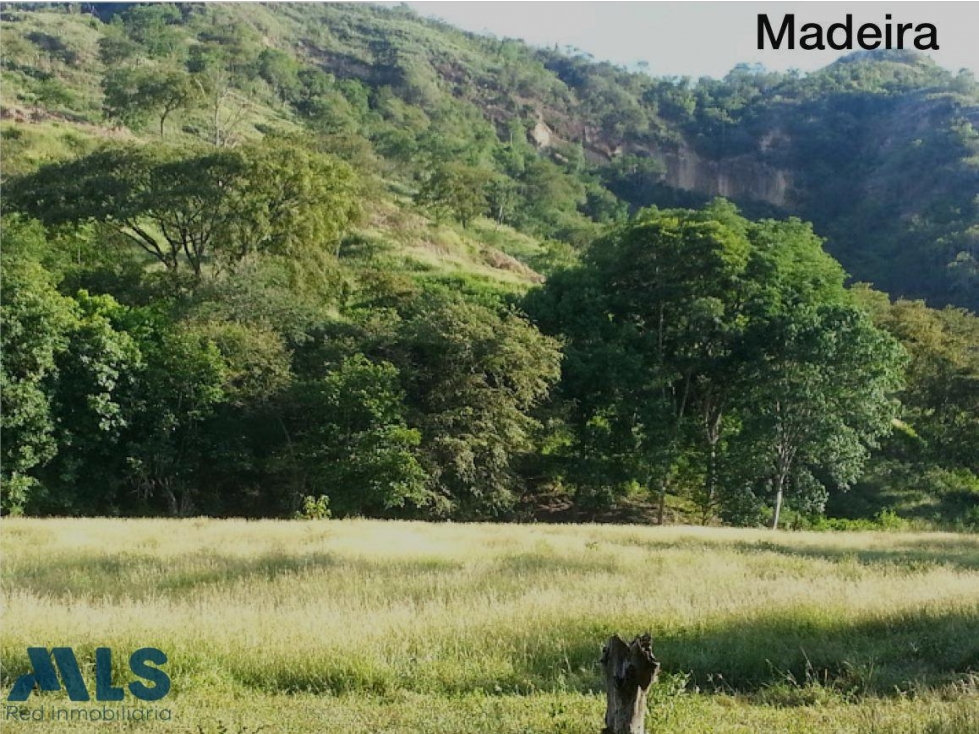 VENTA LOTE PARA DESARROLAR PROYECTO INMOBILIARIO -...(MLS#250447) - 6
