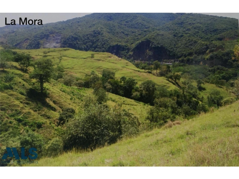 VENTA LOTE PARA DESARROLLAR PROYECTO INMOBILIARIO ...(MLS#250446) - 1