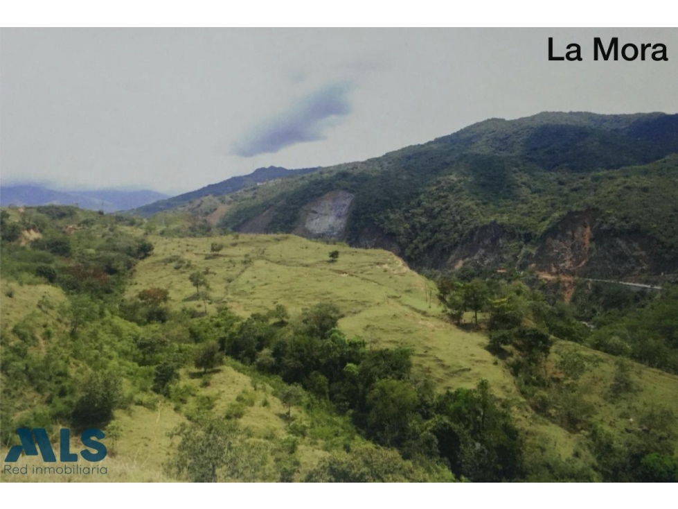 VENTA LOTE PARA DESARROLLAR PROYECTO INMOBILIARIO ...(MLS#250446) - 2