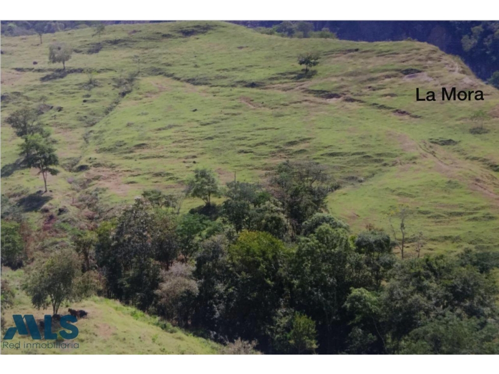 VENTA LOTE PARA DESARROLLAR PROYECTO INMOBILIARIO ...(MLS#250446) - 3