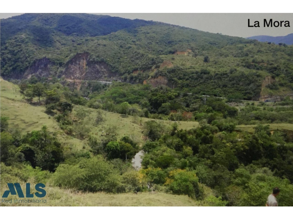 VENTA LOTE PARA DESARROLLAR PROYECTO INMOBILIARIO ...(MLS#250446) - 4