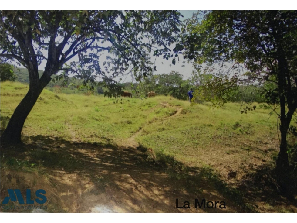 VENTA LOTE PARA DESARROLLAR PROYECTO INMOBILIARIO ...(MLS#250446) - 5