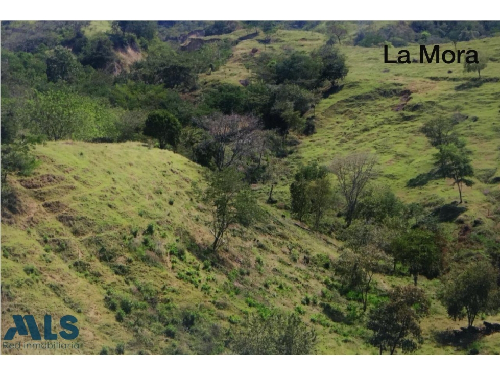 VENTA LOTE PARA DESARROLLAR PROYECTO INMOBILIARIO ...(MLS#250446) - 6