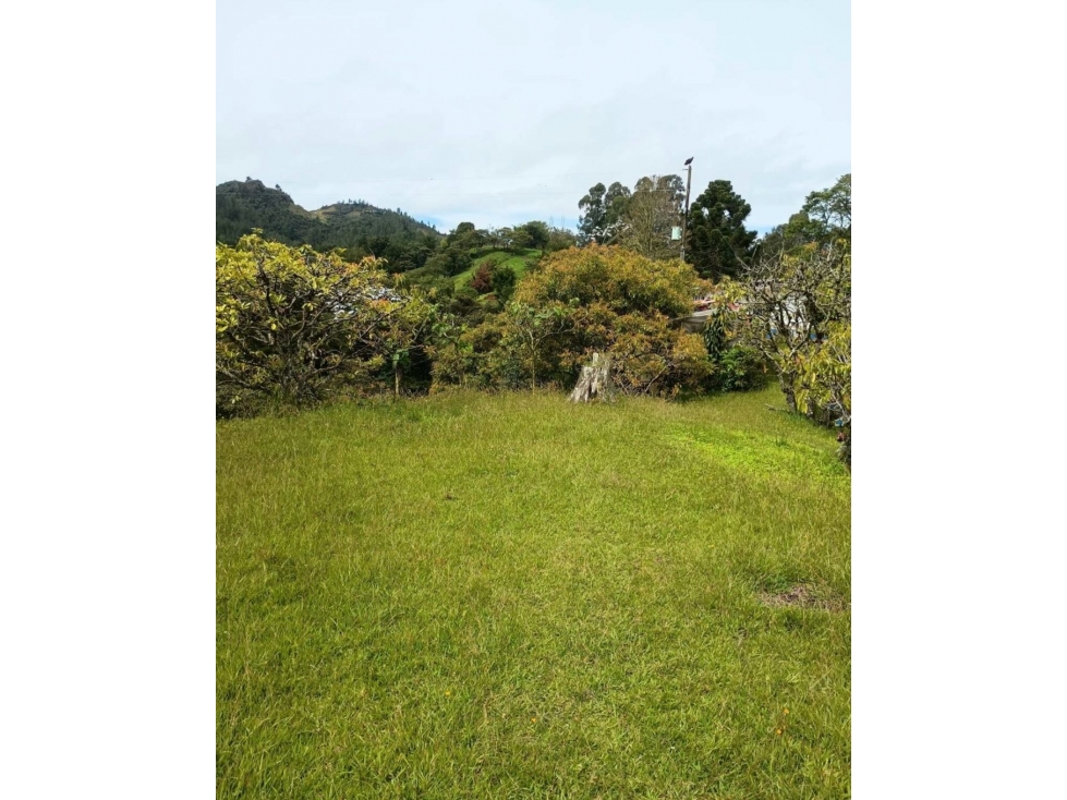 Venta lote para proyecto El Retiro Antioquía