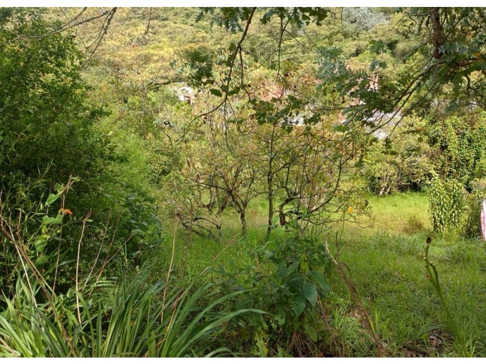 Venta lote para proyecto El Retiro Antioquía — foto 2