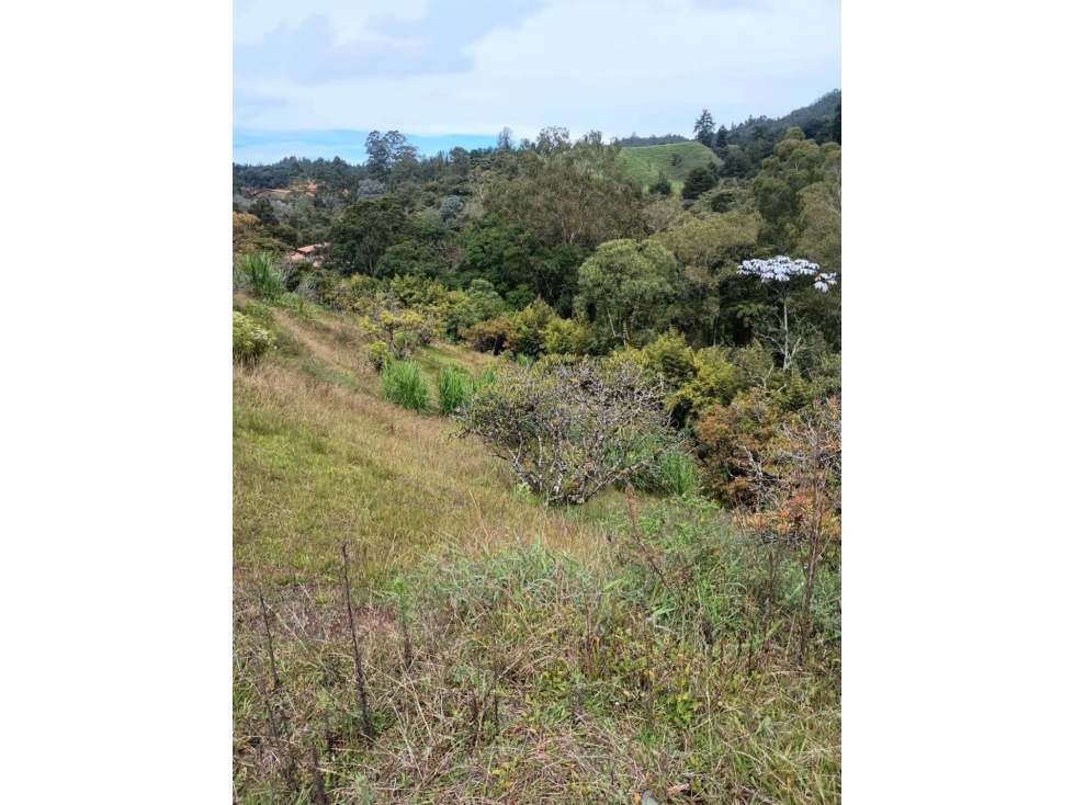 Venta lote para proyecto El Retiro Antioquía — foto 3