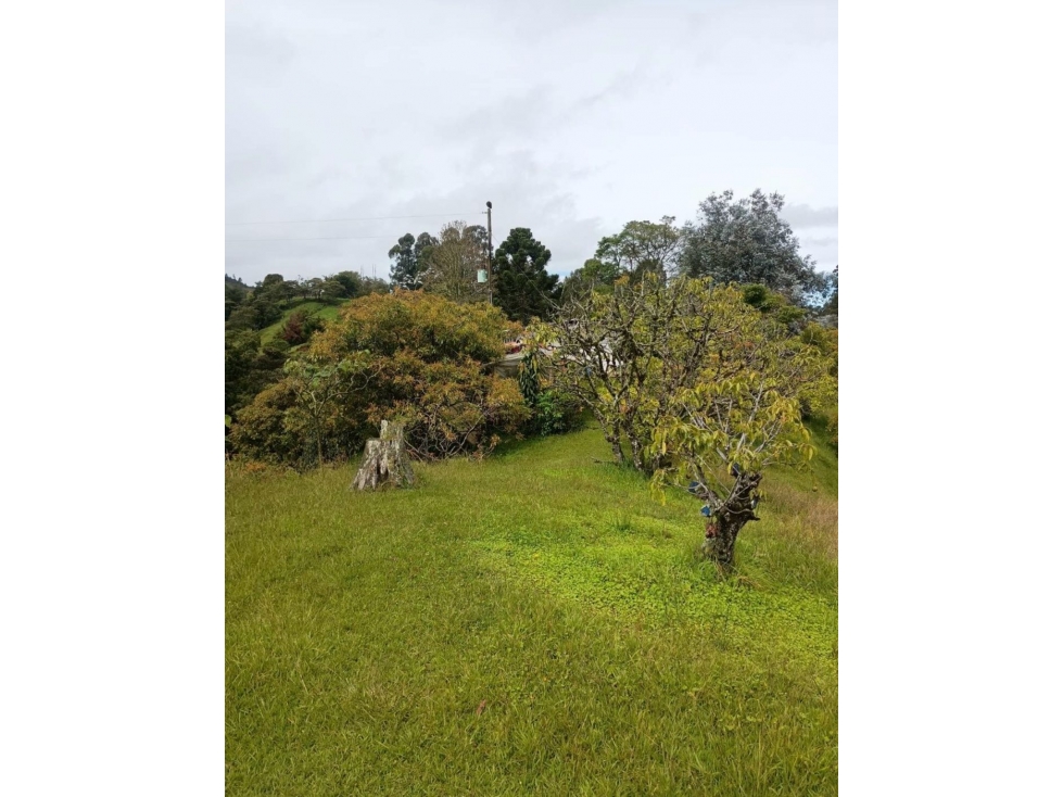 Venta lote para proyecto El Retiro Antioquía — foto 4
