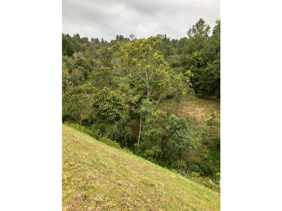 Venta Lote Parcelación le Ciel Guarne — foto 4