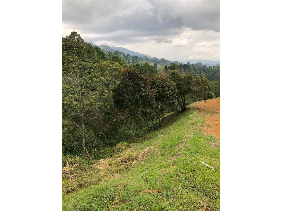 Venta Lote Parcelación le Ciel Guarne — foto 5
