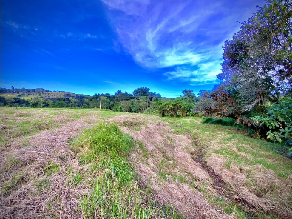 Venta Lote Parcelacion Alto Palmas — foto 6